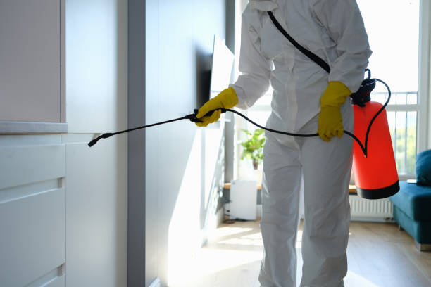 Best Residential Mold Remediation in Monroe, WA