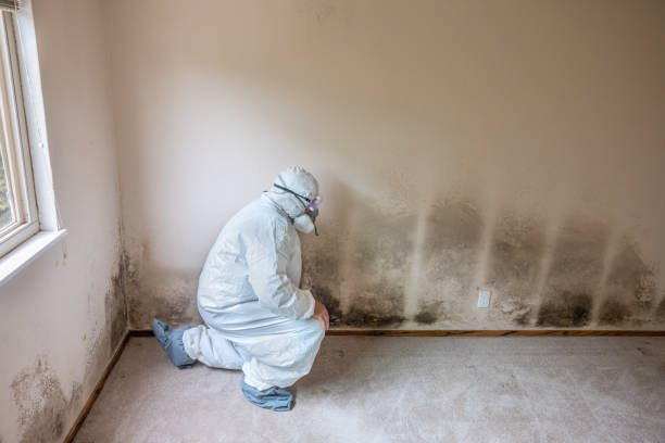 Monroe, WA Mold Remediation Company